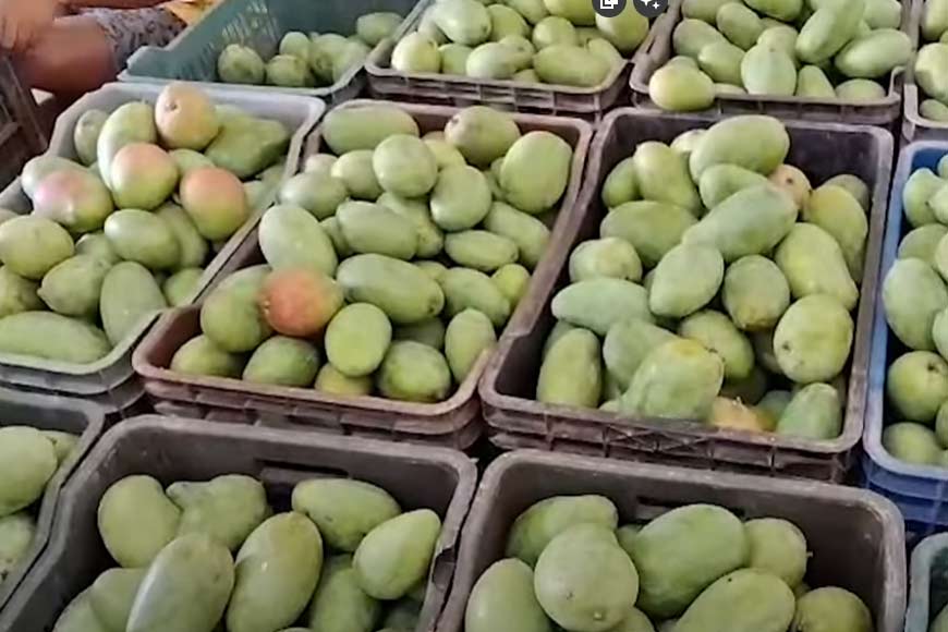 Bankura mango cultivator wins big at Delhi International Mango Fest – GetBengal story 