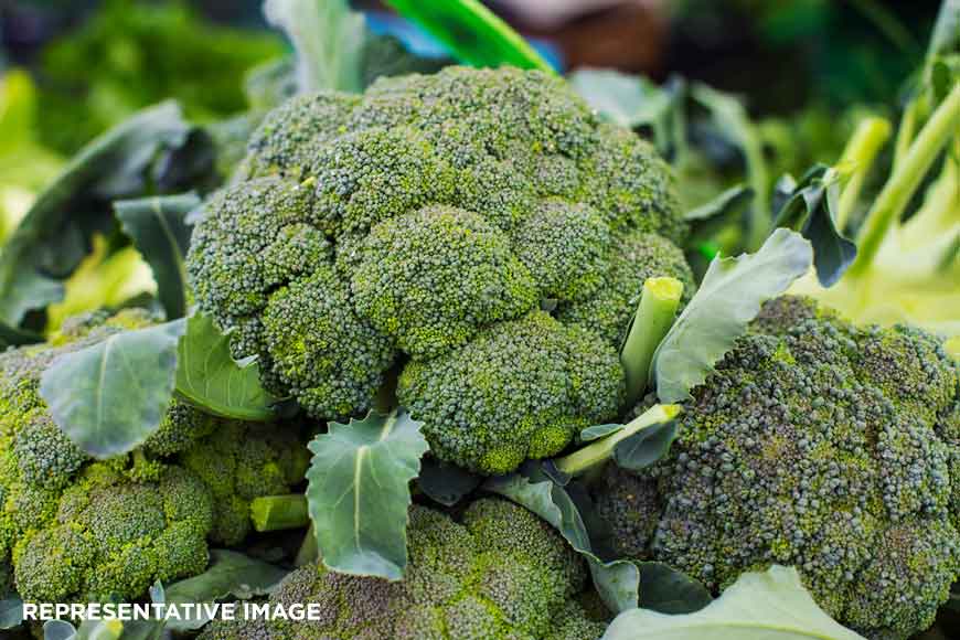 Bengal farmers preferring broccoli over cauliflower! Why this sudden green surge? - GetBengal story