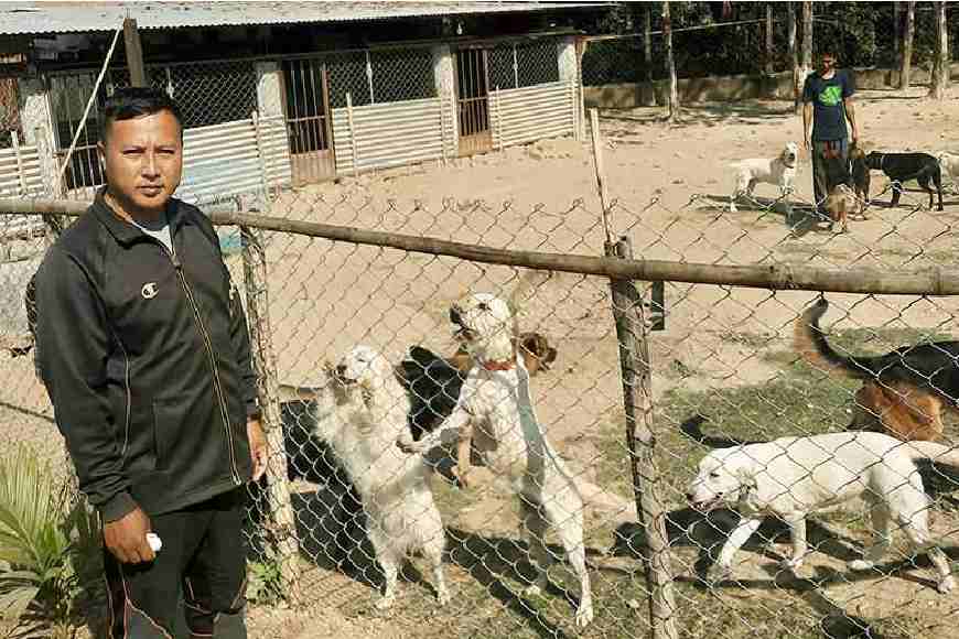 Kaantha: Kunsang Chhopel: The Man who trains indigenous dogs in the Dooars