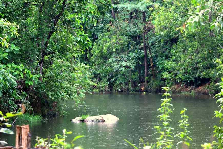 Bankura A Wildlife Paradise Apart From Everything Else