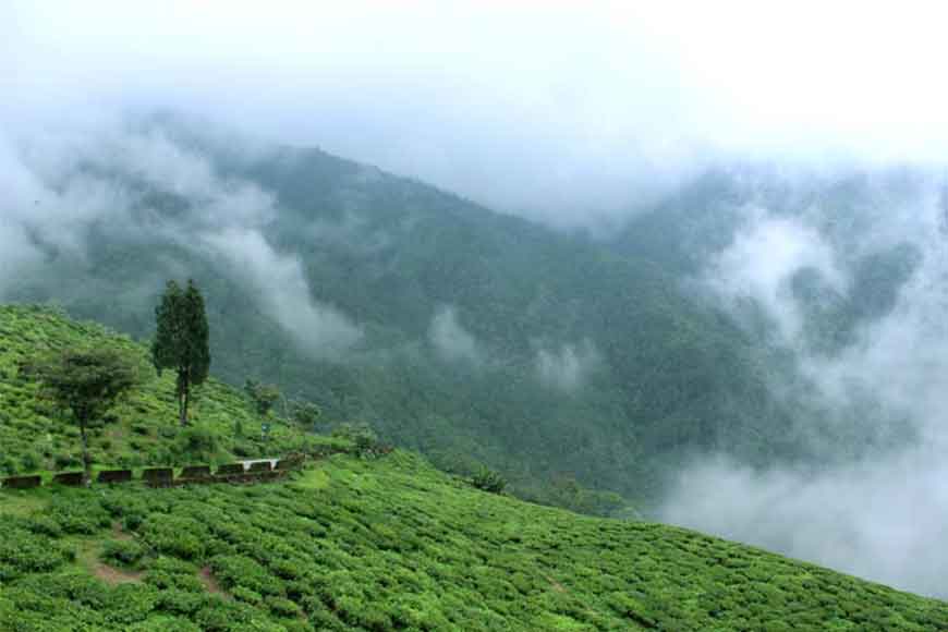 This winter be at second oldest tea estate and highest tea factory of the world! -GetBengal story