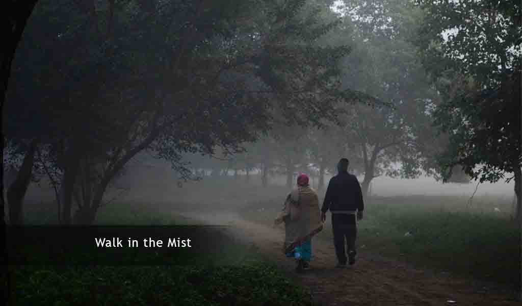 A stroll along Maidan - 'the lungs of Kolkata'